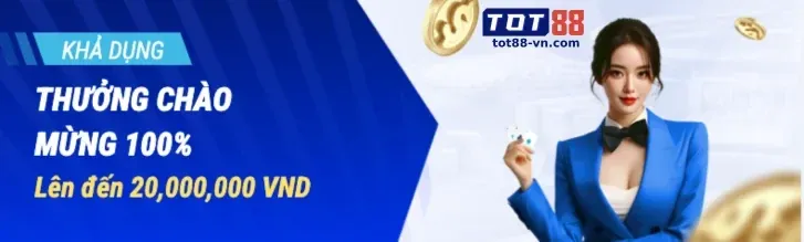 Chương trình VIP vn23 code